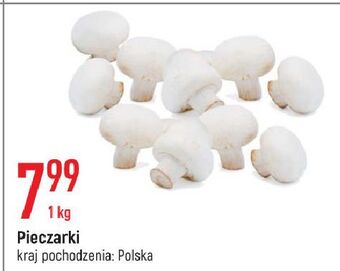 E.Leclerc Pieczarki oferta