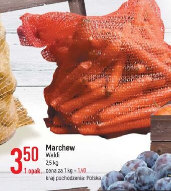 E.Leclerc Marchewka oferta