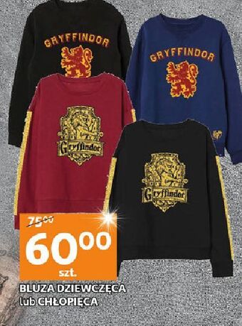 Auchan Bluza chłopieca oferta