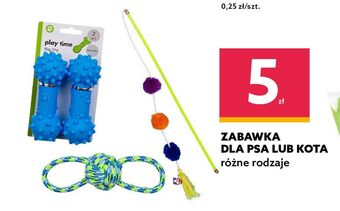 Dealz Zabawka dla kota oferta