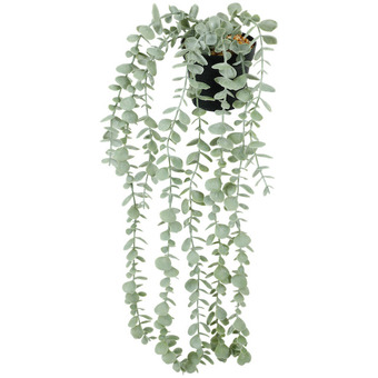 Action Sztuczna roślina wisząca oferta