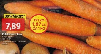 Lidl Polska marchew 4 kg oferta