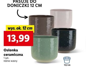 Lidl Osłonka ceramiczna 12 cm oferta
