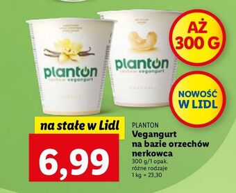 Lidl Vegangurt z orzechów nerkowca natural planton oferta