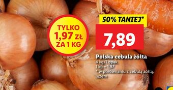 Lidl Cebula żółta oferta