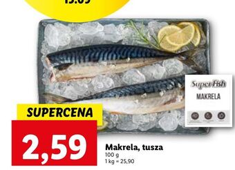 Lidl Makrela superfish oferta