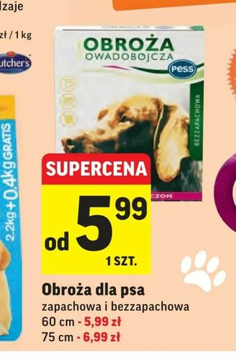 Intermarche Obroża dla psa oferta