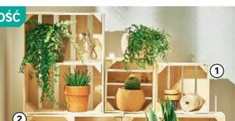 Leroy Merlin Półka SKRZYNKA oferta