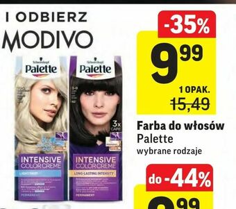 Intermarche Farba do włosów oferta