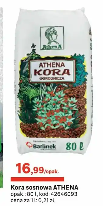 Leroy Merlin Kora sosnowa ATHENA oferta