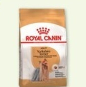 Maxi Zoo Karma dla psa royal canin oferta