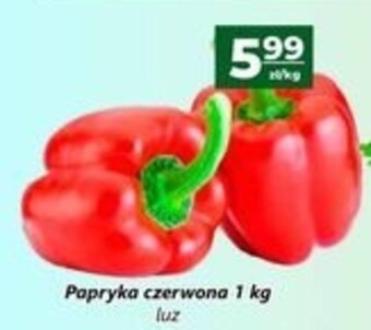 Społem Papryka oferta