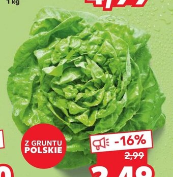 Kaufland Sałata oferta