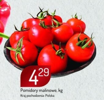 Avita Pomidory oferta