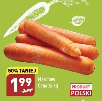 ALDI Marchewka oferta