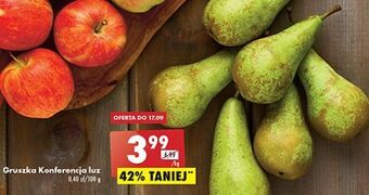 Biedronka Gruszki konferencja oferta