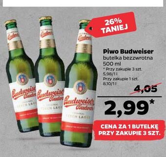 Netto Piwo budweiser oferta