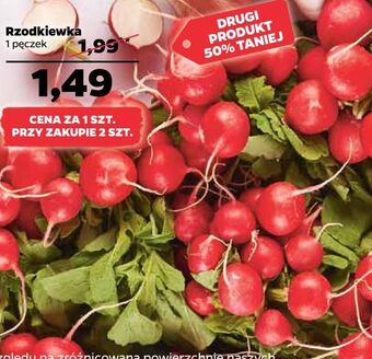 Netto Rzodkiewka oferta