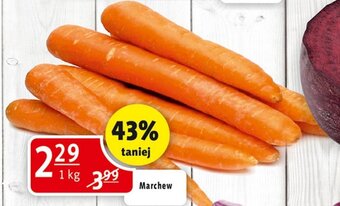 Prim Market Marchew 1 kg oferta