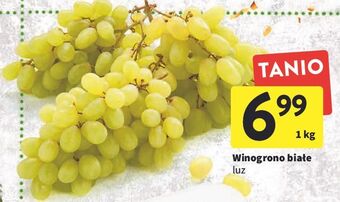Intermarche Winogrona białe oferta