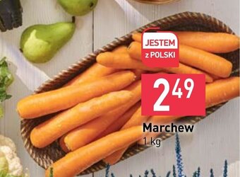 Stokrotka Marchew 1 kg oferta
