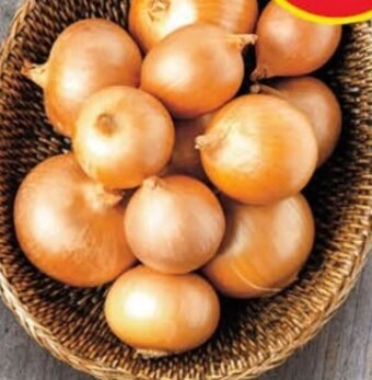 Delikatesy Centrum Cebula oferta