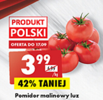 Biedronka Pomidory biedronka oferta