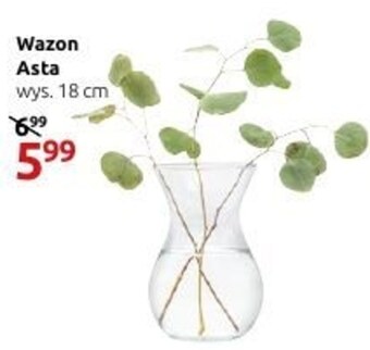 Wazon black red white