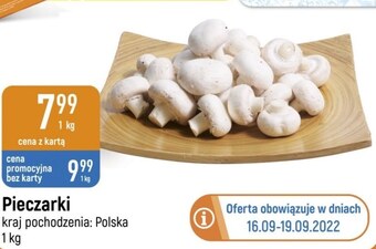 E.Leclerc Pieczarki oferta