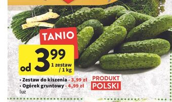 Intermarche Ogórki gruntowe oferta
