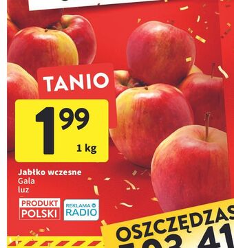 Intermarche Jabłka gala oferta