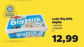 Netto Lody świeże mleko i vanilia algida big milk oferta