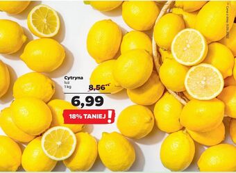 Netto Cytryny oferta