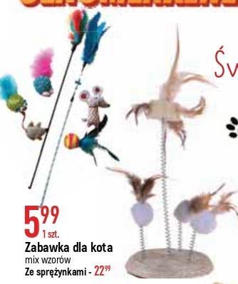 E.Leclerc Zabawka dla kota oferta