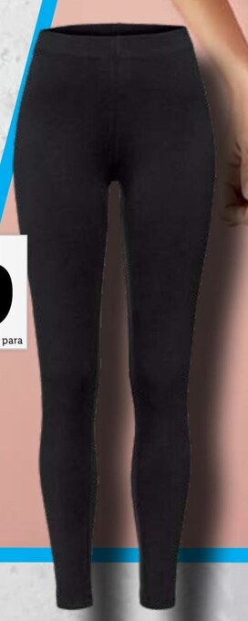 Lidl Legginsy damskie oferta