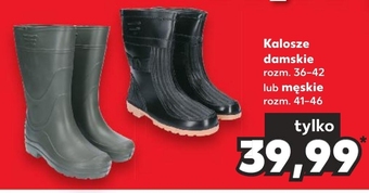Kaufland Kalosze oferta