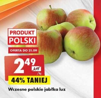 Biedronka Jabłka wczesne oferta
