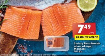 Biedronka Łosoś atlantycki świeży filet marinero oferta