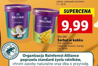 Lidl Sorbet mango i ananas ballino oferta