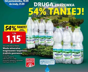 Lidl Woda średnionasycona saguaro muszyńskie oferta