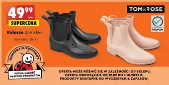 Biedronka Kalosze damskie krótkie rozm. 36-41 tom & rose oferta