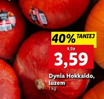 Lidl Dynia hokkaido oferta