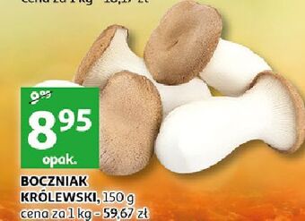 Auchan Boczniak królewski oferta