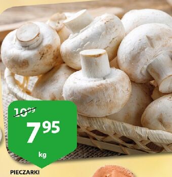 Auchan Pieczarki oferta
