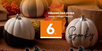 Dealz Dynia ceramiczna oferta