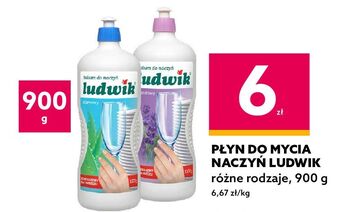 Dealz Balsam do naczyń aloesowy ludwik oferta