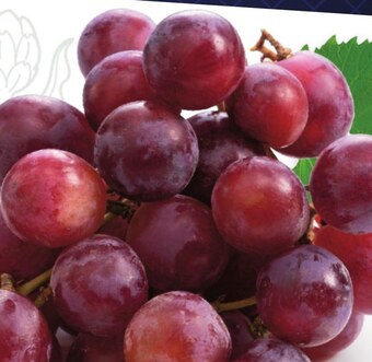 Twój Market Winogrona oferta