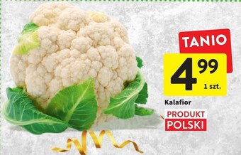 Intermarche Kalafior intermarche oferta