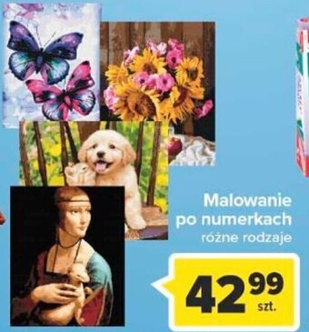Carrefour Malowanie po numerkach oferta