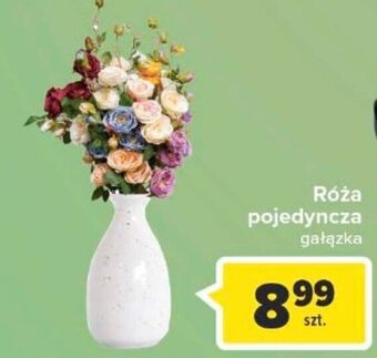Carrefour Róża pojedyncza oferta
